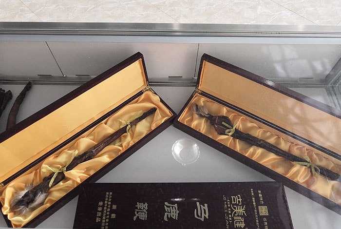 新疆昌吉華盛商貿(mào)鹿鞭